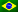 Portugues